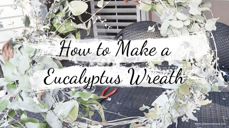 How to Make a Eucalyptus Wreath DIY