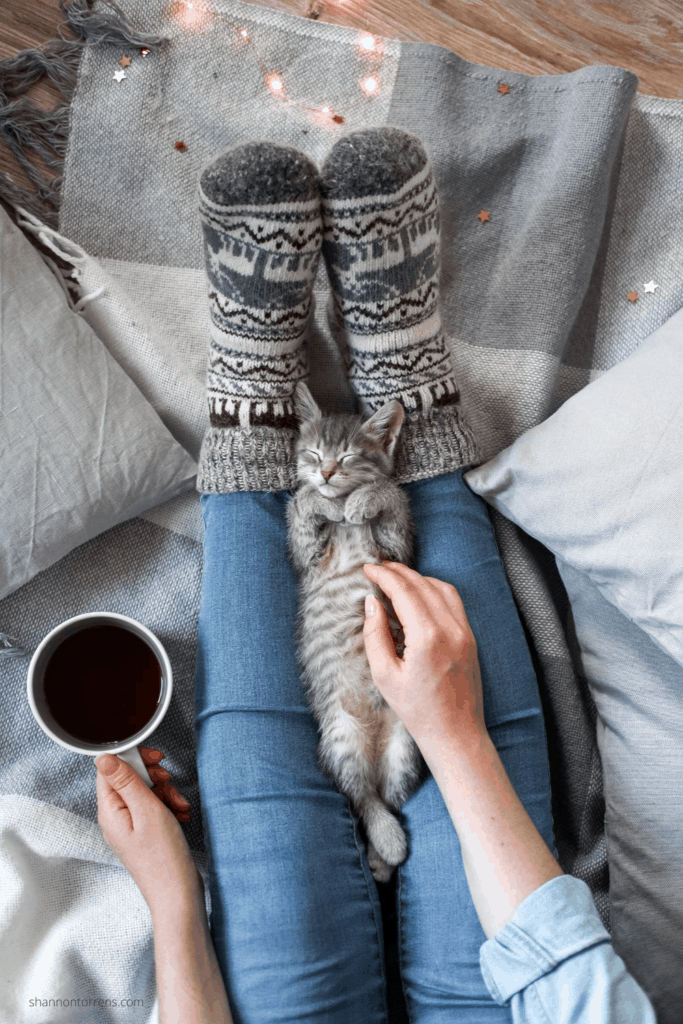 Fall Aesthetic cat
