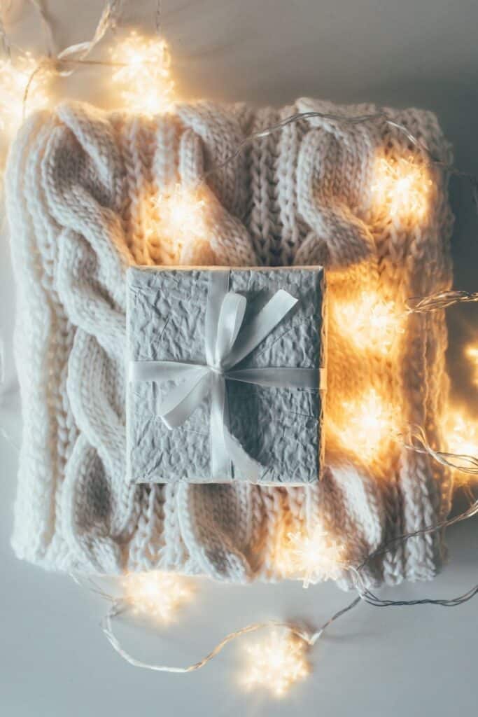 Winter Aesthetic Plus 10 Ways to Get in the Mood For Winter - Shannon  Torrens