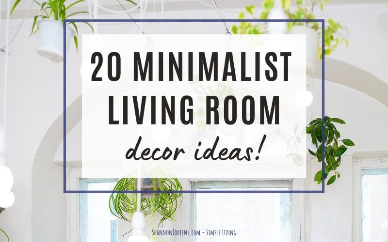 Minimalist living deals room with plants