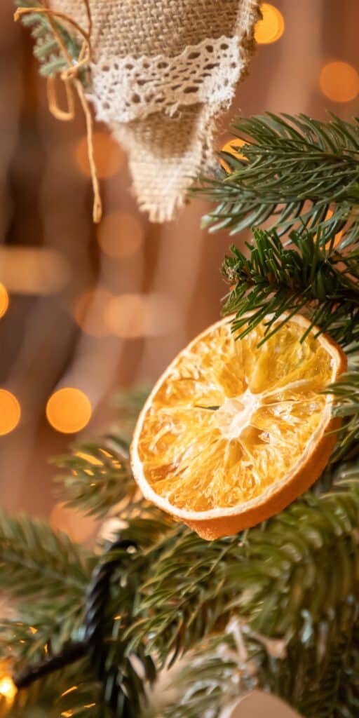 orange on tree