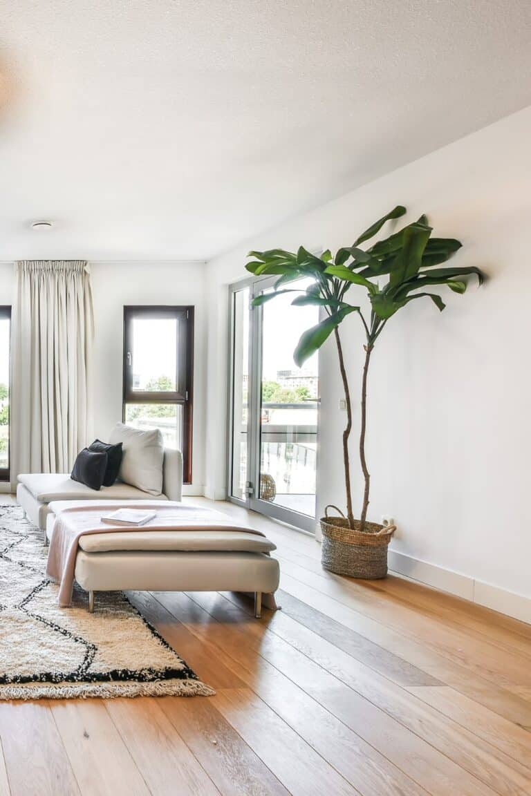 Great Minimalist Decorating Ideas preview