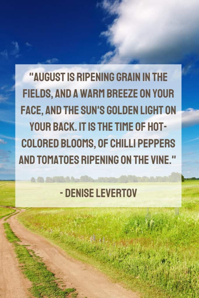 quote for august