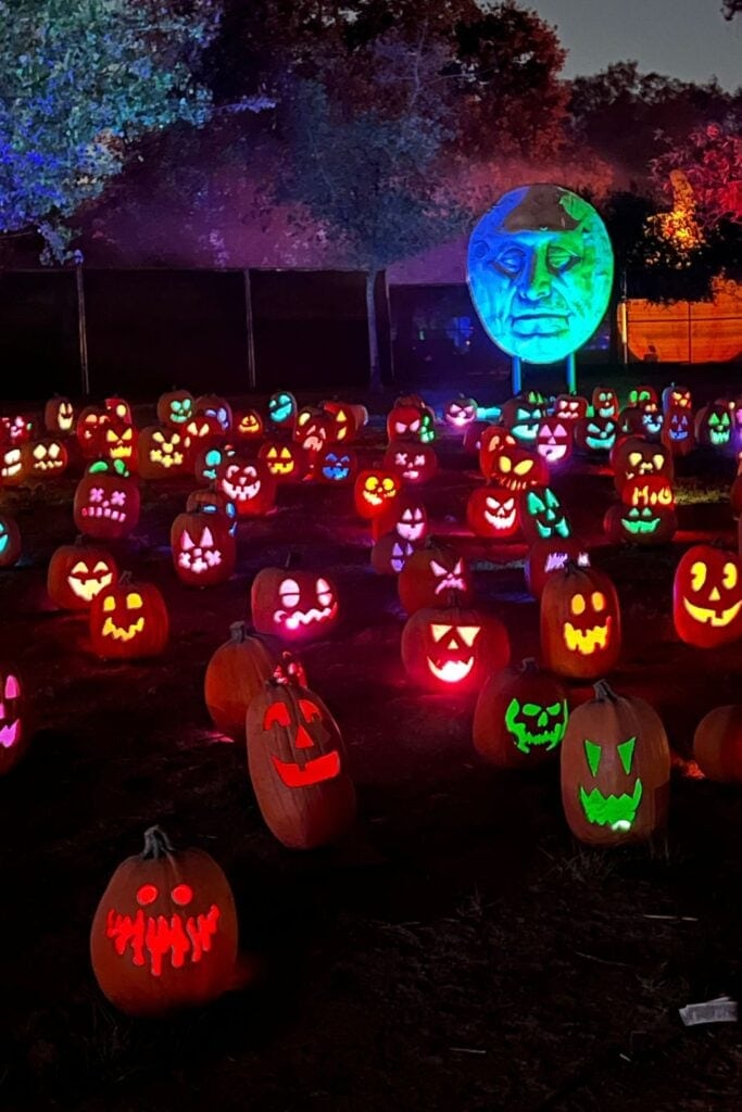 Halloween Fall Pumpkin patch