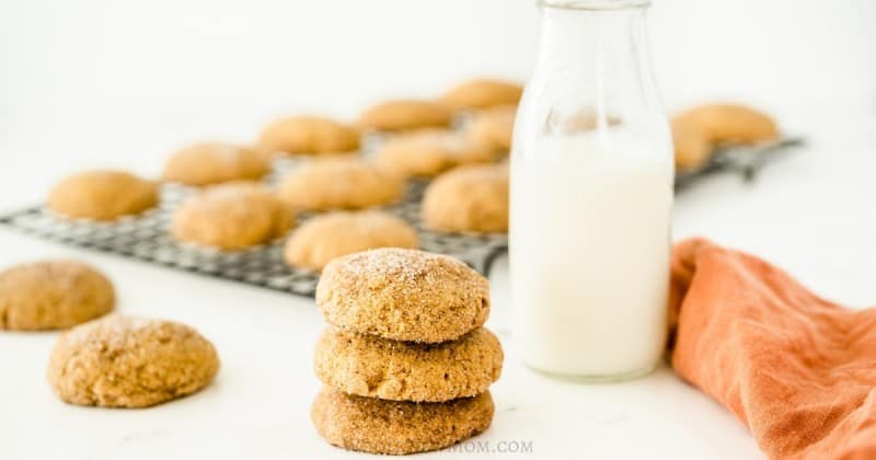 pumpkin-snickerdoodles-img-800x420 (1)