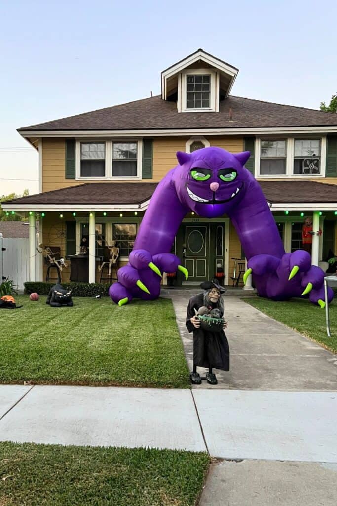 Halloween witch decor