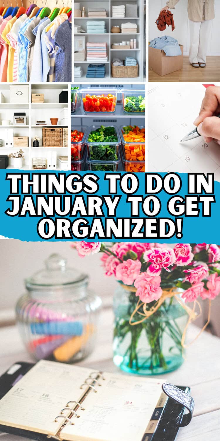 Things to Do At The Start Of January - Shannon Torrens
