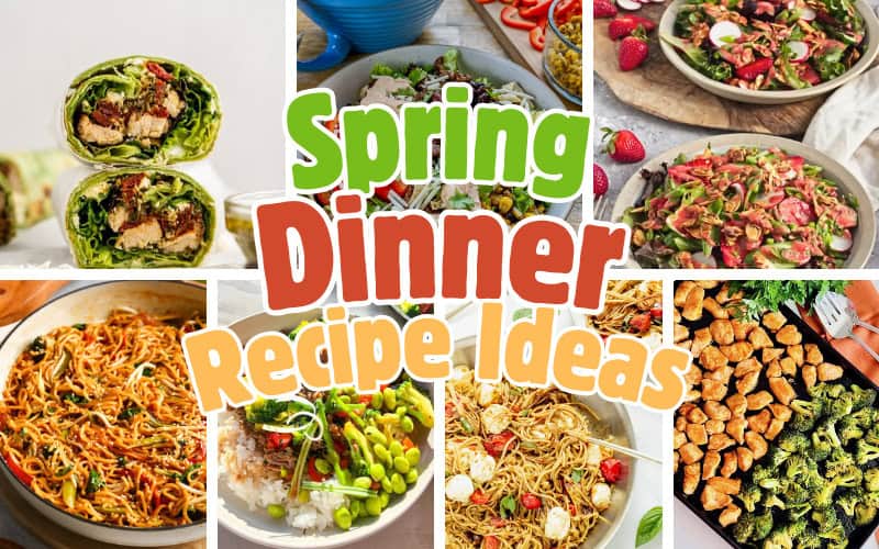 spring dinner recipe ideas