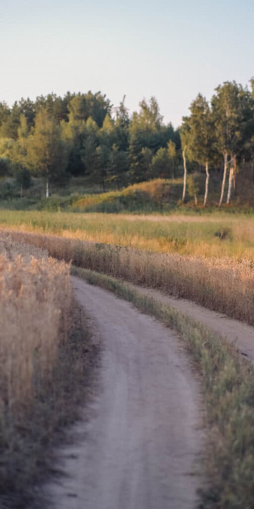 phone free summer road