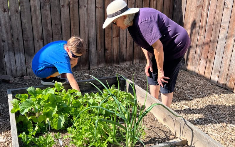 GARDENING