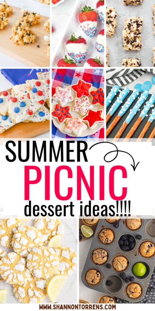 picnic dessert ideas