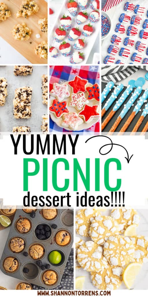 picnic dessert ideas