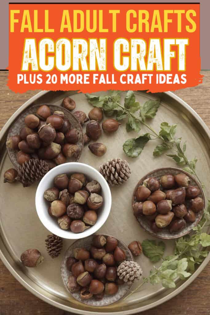 acorns