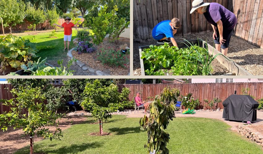 garden