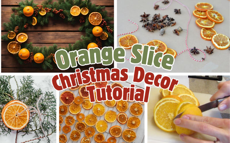 orange slice tutorial